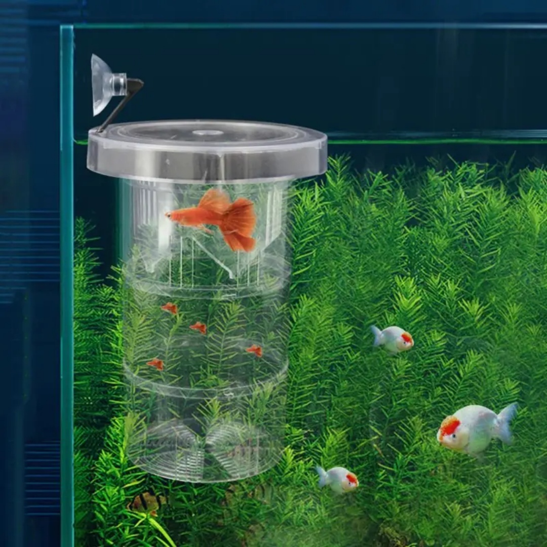 Akrylowe pudełko izolacyjne do – Lab Incubator recenzja i cena